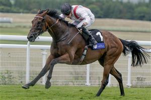 CHICHESTER, ENGLAND - AUGUST 04: Tom Marquand riding Hamish win The L'Ormarins King's Plate Glorious Stakes at Goodwood Racecourse on August 04, 2023 in Chichester, England. (Photo by Alan Crowhurst/Getty Images)
