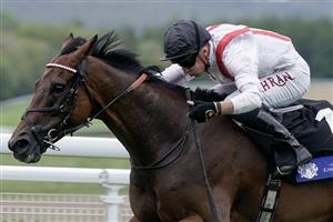 CHICHESTER, ENGLAND - AUGUST 04: Tom Marquand riding Hamish win The L'Ormarins King's Plate Glorious Stakes at Goodwood Racecourse on August 04, 2023 in Chichester, England. (Photo by Alan Crowhurst/Getty Images)