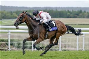 CHICHESTER, ENGLAND - AUGUST 04: Tom Marquand riding Hamish win The L'Ormarins King's Plate Glorious Stakes at Goodwood Racecourse on August 04, 2023 in Chichester, England. (Photo by Alan Crowhurst/Getty Images)