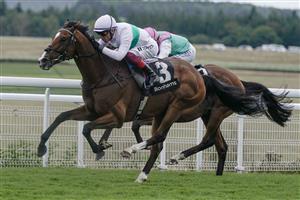 CHICHESTER, ENGLAND - AUGUST 04: Frankie Dettori riding Epictetus (white) win The Bonhams Thoroughbred Stakes from Ryan Moore and Nostrum at Goodwood Racecourse on August 04, 2023 in Chichester, England. (Photo by Alan Crowhurst/Getty Images)