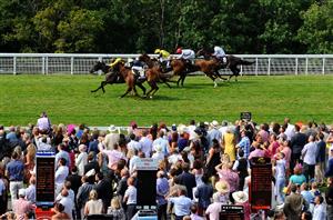 Glorious Goodwood Tips on August 5th - Through the card tips on Stewards' Cup day