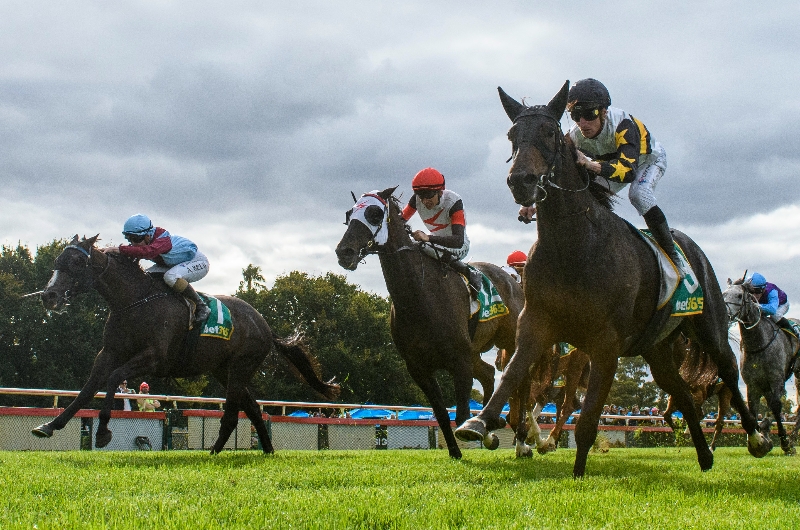 Bendigo Betting Tips for August 10, 2023 Sea to salute