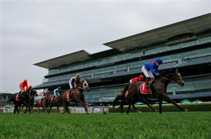 Winx Stakes 2023 Barrier Draw & Final Field