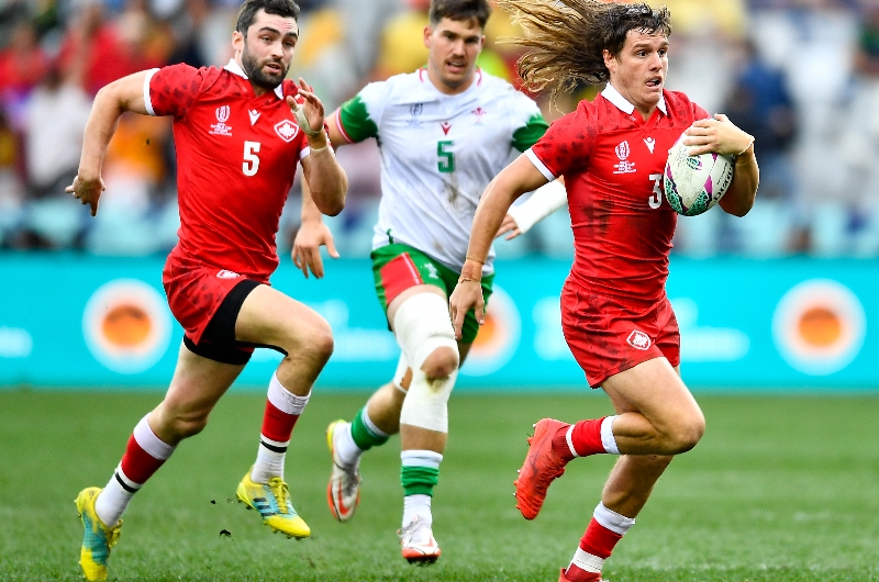 South Africa Vs Wales Rugby 2024 Tickets Pet Giselle