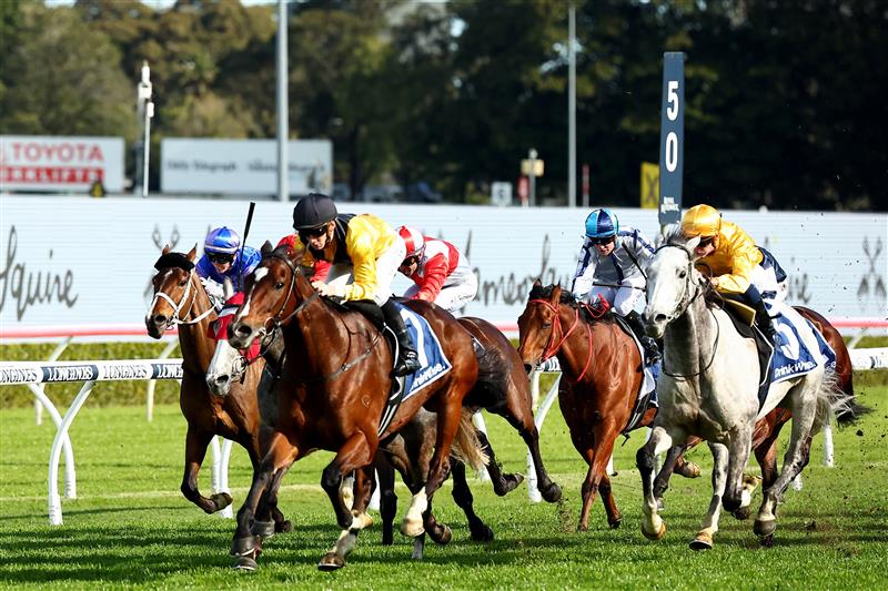 SYDNEY, AUSTRALIA - AUGUST 19: Jason Collett riding Hosier 
 wins Race 6 James Squires Premier’s Cup during "Winx Stakes Day" - Sydney Racing at Royal Randwick Racecourse on August 19, 2023 in Sydney, Australia. (Photo by Jeremy Ng/Getty Images)