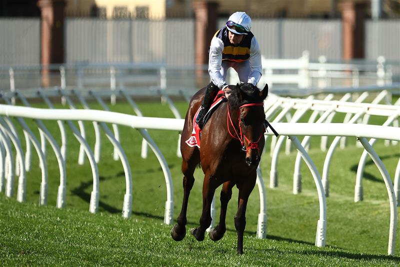 SYDNEY, AUSTRALIA - AUGUST 19: Reece Jones riding Principessa wins Race 4 Toyota Forklifts during "Winx Stakes Day" - Sydney Racing at Royal Randwick Racecourse on August 19, 2023 in Sydney, Australia. (Photo by Jeremy Ng/Getty Images)
