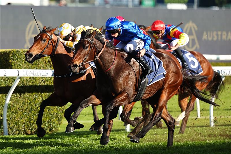 SYDNEY, AUSTRALIA - AUGUST 19: Jean Van Overmeire riding Parisal wins Race 7 Laurel Oak Toy Show Quality during "Winx Stakes Day" - Sydney Racing at Royal Randwick Racecourse on August 19, 2023 in Sydney, Australia. (Photo by Jeremy Ng/Getty Images)