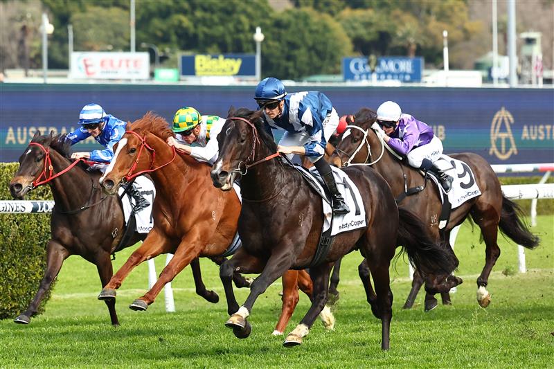 SYDNEY, AUSTRALIA - AUGUST 19:  Dylan Gibbons riding Buenos Noches wins Race 5 Mostyncopper Show County Quality during "Winx Stakes Day" - Sydney Racing at Royal Randwick Racecourse on August 19, 2023 in Sydney, Australia. (Photo by Jeremy Ng/Getty Images)