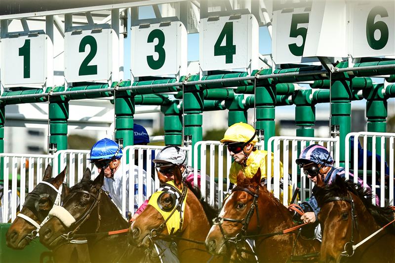SYDNEY, AUSTRALIA - AUGUST 19: Tyler Schiller riding Awesome Wonder competes in Race 3 Gold Coast Turf Club during "Winx Stakes Day" - Sydney Racing at Royal Randwick Racecourse on August 19, 2023 in Sydney, Australia. (Photo by Jeremy Ng/Getty Images)