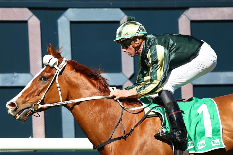 SYDNEY, AUSTRALIA - AUGUST 19: Nash Rawiller riding Derry Grove wins Race 2 TAB Highway Handicap during "Winx Stakes Day" - Sydney Racing at Royal Randwick Racecourse on August 19, 2023 in Sydney, Australia. (Photo by Jeremy Ng/Getty Images)