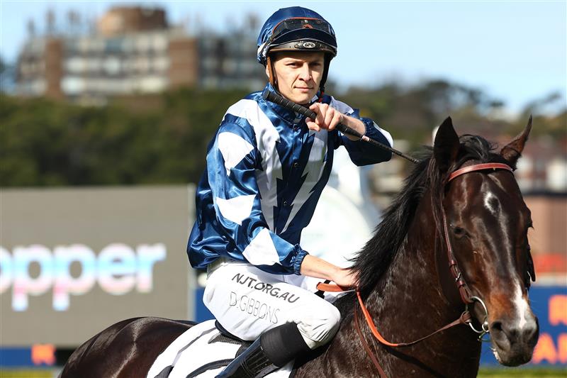 SYDNEY, AUSTRALIA - AUGUST 19:  Dylan Gibbons riding Buenos Noches wins Race 5 Mostyncopper Show County Quality during "Winx Stakes Day" - Sydney Racing at Royal Randwick Racecourse on August 19, 2023 in Sydney, Australia. (Photo by Jeremy Ng/Getty Images)