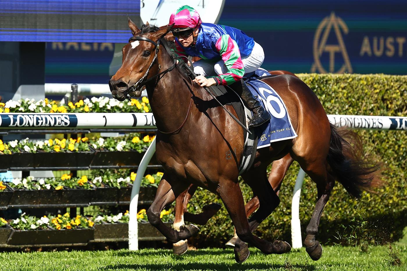 SYDNEY, AUSTRALIA - AUGUST 19: Dylan Gibbons riding Super Bright wins Race 1 Midway during "Winx Stakes Day" - Sydney Racing at Royal Randwick Racecourse on August 19, 2023 in Sydney, Australia. (Photo by Jeremy Ng/Getty Images)