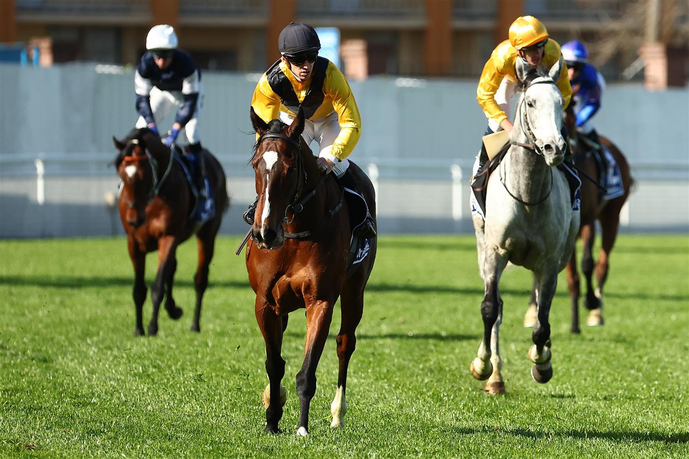 SYDNEY, AUSTRALIA - AUGUST 19: Jason Collett riding Hosier 
 wins Race 6 James Squires Premier’s Cup during "Winx Stakes Day" - Sydney Racing at Royal Randwick Racecourse on August 19, 2023 in Sydney, Australia. (Photo by Jeremy Ng/Getty Images)