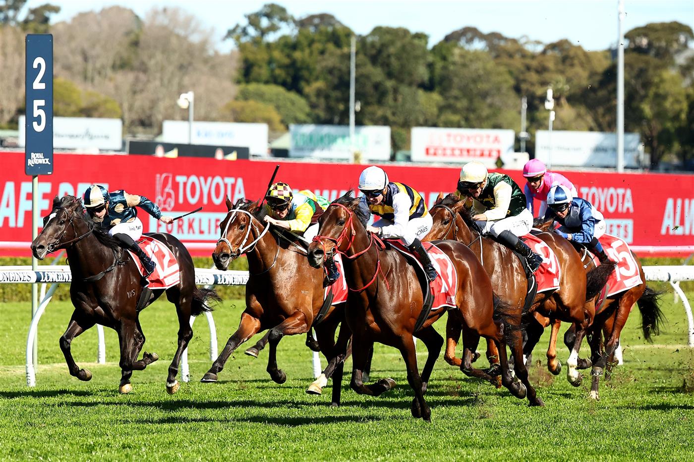 SYDNEY, AUSTRALIA - AUGUST 19: Reece Jones riding Principessa wins Race 4 Toyota Forklifts during "Winx Stakes Day" - Sydney Racing at Royal Randwick Racecourse on August 19, 2023 in Sydney, Australia. (Photo by Jeremy Ng/Getty Images)