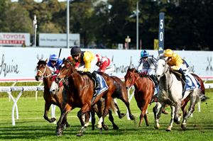 SYDNEY, AUSTRALIA - AUGUST 19: Jason Collett riding Hosier 
 wins Race 6 James Squires Premier’s Cup during "Winx Stakes Day" - Sydney Racing at Royal Randwick Racecourse on August 19, 2023 in Sydney, Australia. (Photo by Jeremy Ng/Getty Images)