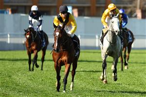 SYDNEY, AUSTRALIA - AUGUST 19: Jason Collett riding Hosier 
 wins Race 6 James Squires Premier’s Cup during "Winx Stakes Day" - Sydney Racing at Royal Randwick Racecourse on August 19, 2023 in Sydney, Australia. (Photo by Jeremy Ng/Getty Images)