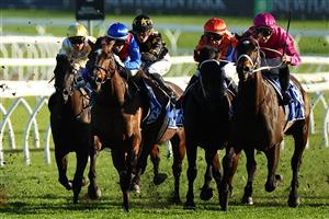 SYDNEY, AUSTRALIA - AUGUST 19:  James Mcdonald riding Fangirl  wins Race 8 Winx Stakes  during "Winx Stakes Day" - Sydney Racing at Royal Randwick Racecourse on August 19, 2023 in Sydney, Australia. (Photo by Jeremy Ng/Getty Images)