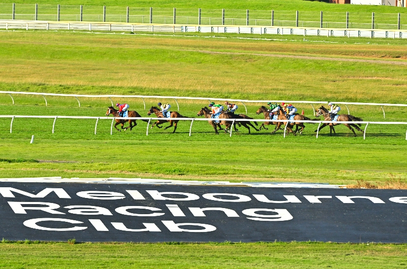 Sandown Betting Tips for August 23, 2023 Chalice set for city progression
