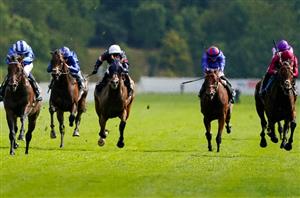 2023 Juddmonte International Stakes Live Stream - Watch the York race online