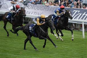 YORK, ENGLAND - AUGUST 23: Daniel Tudhope riding Indian Run (L, gold sleeves) win The Tattersalls Acomb Stakes at York Racecourse on August 23, 2023 in York, England. (Photo by Alan Crowhurst/Getty Images)