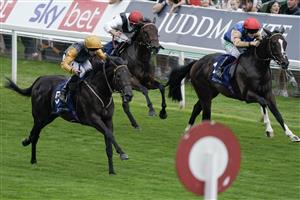 YORK, ENGLAND - AUGUST 23: Daniel Tudhope riding Indian Run (L, gold sleeves) win The Tattersalls Acomb Stakes at York Racecourse on August 23, 2023 in York, England. (Photo by Alan Crowhurst/Getty Images)