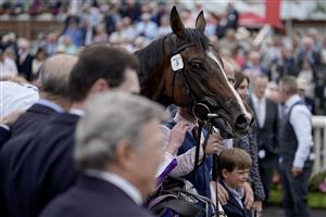 YORK, ENGLAND - AUGUST 23: Continuous after winning The Sky Bet Great Voltigeur Stakes at York Racecourse on August 23, 2023 in York, England. (Photo by Alan Crowhurst/Getty Images)