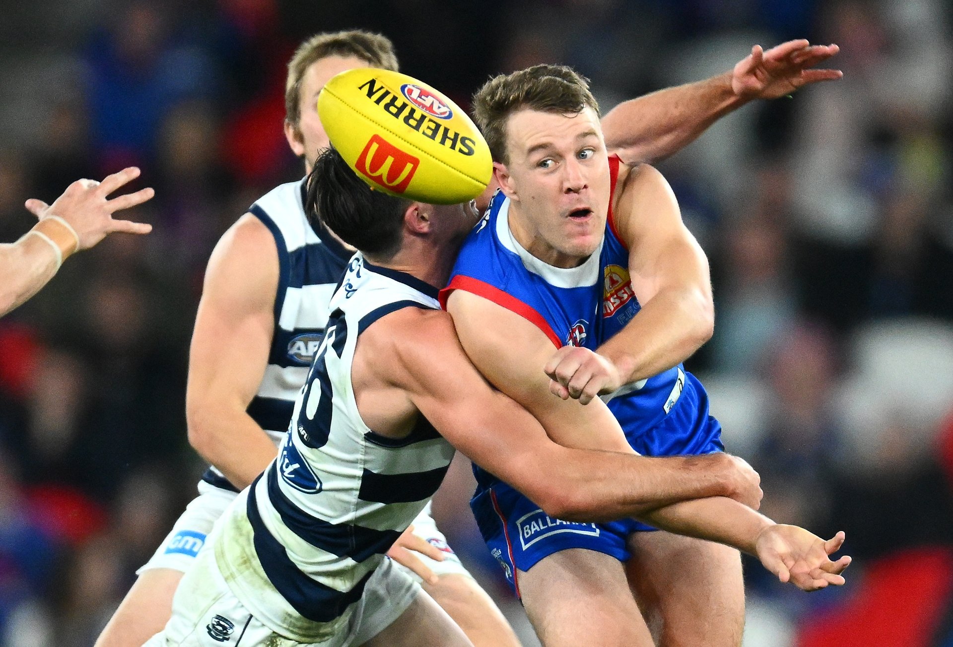Geelong Cats vs Western Bulldogs Tips & Preview Cats to send Dogs