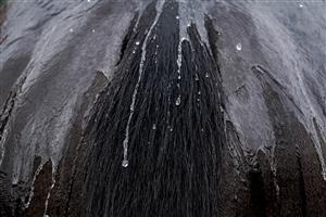 YORK, ENGLAND - AUGUST 24: Water runs down the tail as a horse is hosed down after racng at York Racecourse on August 24, 2023 in York, England. (Photo by Alan Crowhurst/Getty Images)