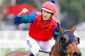 2023 Spring Carnival Multi Tips - $3600 multibet on the Caulfield Cup, Cox Plate & Melbourne Cup