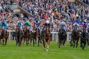 york races