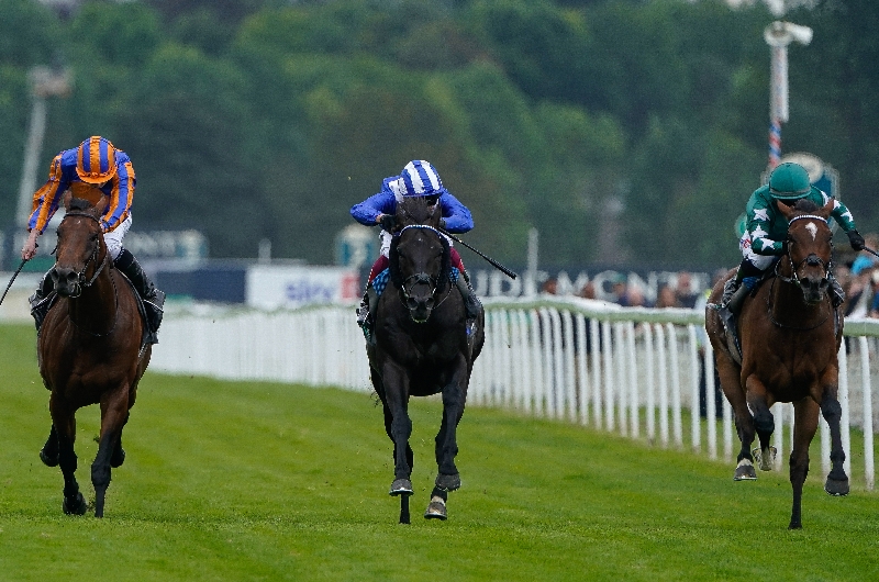 When is the 2024 Juddmonte International Stakes