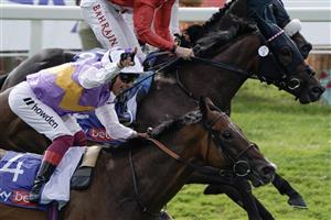 YORK, ENGLAND - AUGUST 26: Frankie Dettori riding Kinross celebrate winning The Sky Bet City Of York Stakes at York Racecourse on August 26, 2023 in York, England. (Photo by Alan Crowhurst/Getty Images)