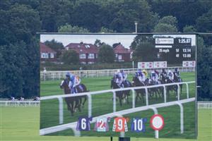 YORK, ENGLAND - AUGUST 26: Runner in the Sky Bet Melrose Handicap race on the far side of the track at York Racecourse on August 26, 2023 in York, England. (Photo by Alan Crowhurst/Getty Images)