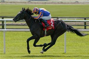 "He’s fresh and doing everything really good" - Auguste Rodin set for Irish Champion Stakes 