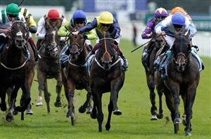 Five beaten horses to follow from 2023 Ebor Festival