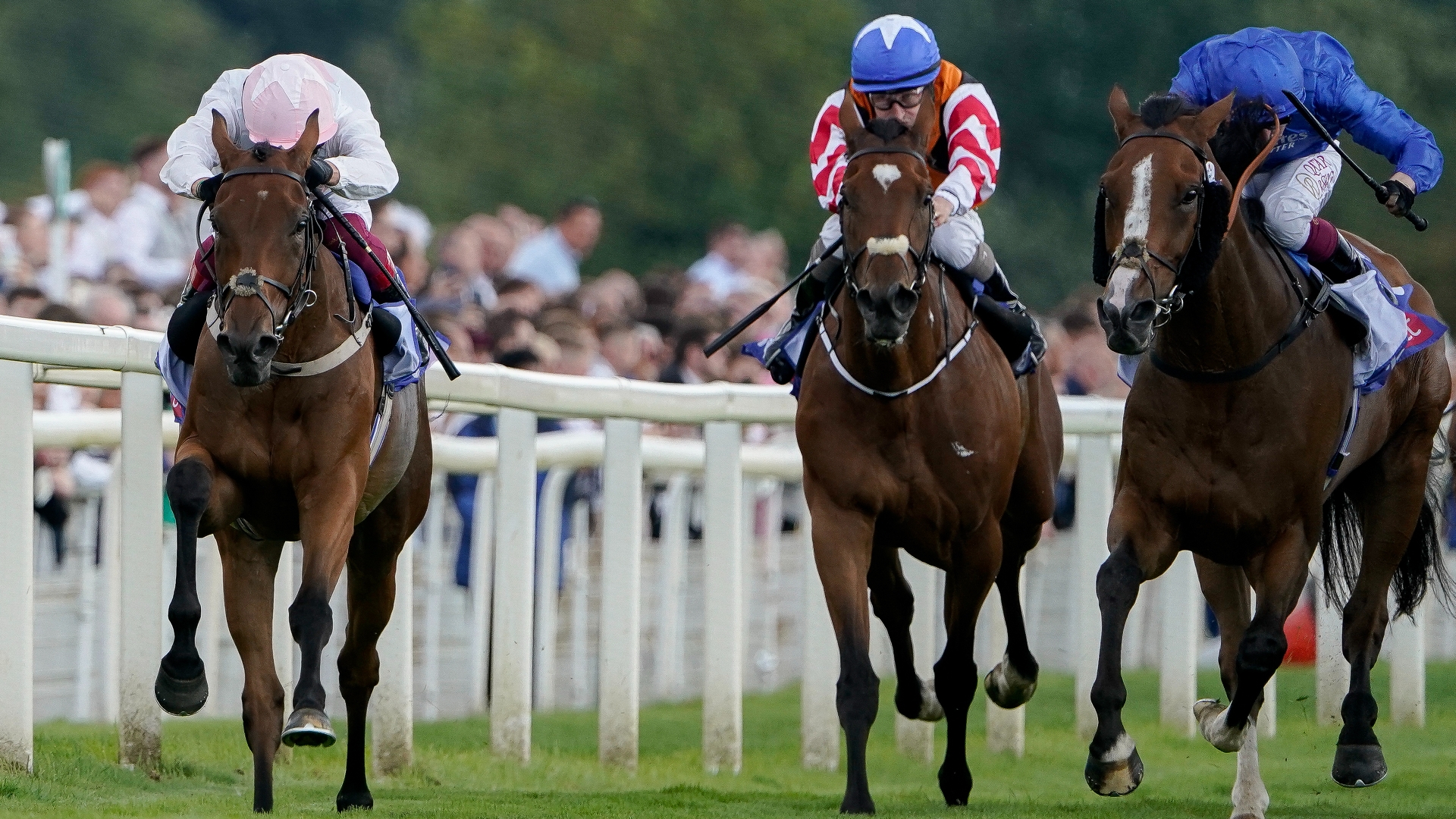Racing News | Absurde set for Melbourne Cup run after Ebor success