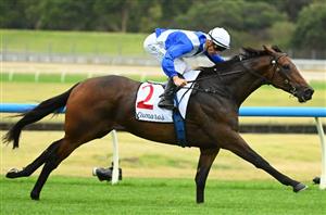 Memsie Stakes Barriers