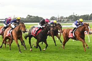 Wagga Tips for 31.08.2023