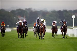 Beverley Bullet Live Stream