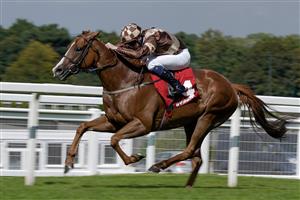 ESHER, ENGLAND - SEPTEMBER 02: Oisin Orr riding Maywake win The Virgin Bet Best Odds Daily Handicap at Sandown Park Racecourse on September 02, 2023 in Esher, England. (Photo by Alan Crowhurst/Getty Images)