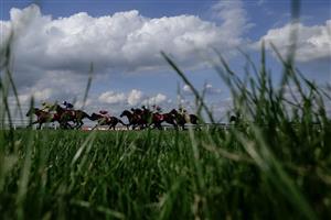 ESHER, ENGLAND - SEPTEMBER 02: A general view as runners make their way towards the finish during The Virgin Bet Handicap at Sandown Park Racecourse on September 02, 2023 in Esher, England. (Photo by Alan Crowhurst/Getty Images)