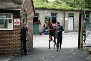 ESHER, ENGLAND - SEPTEMBER 02: A runner leaves the stabling area at Sandown Park Racecourse on September 02, 2023 in Esher, England. (Photo by Alan Crowhurst/Getty Images)