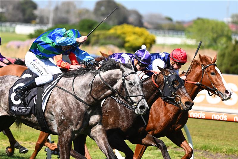 MELBOURNE, AUSTRALIA - SEPTEMBER 02: Jason Maskiell riding Seb Song winning Race 1, the Mrc Foundation Caulfield Handicap,  during Melbourne Racing at Caulfield Racecourse on September 02, 2023 in Melbourne, Australia. (Photo by Vince Caligiuri/Getty Images)