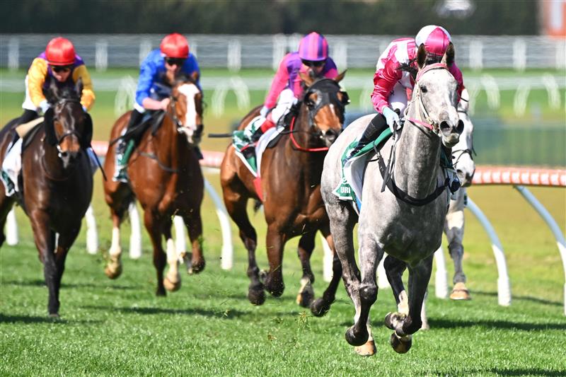 MELBOURNE, AUSTRALIA - SEPTEMBER 02: Tatum Bull riding Frigid winning Race 4, the Evergreen Turf Handicap,  during Melbourne Racing at Caulfield Racecourse on September 02, 2023 in Melbourne, Australia. (Photo by Vince Caligiuri/Getty Images)