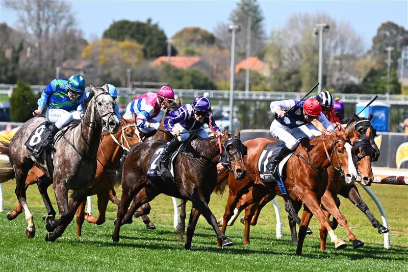 MELBOURNE, AUSTRALIA - SEPTEMBER 02: Jason Maskiell riding Seb Song winning Race 1, the Mrc Foundation Caulfield Handicap,  during Melbourne Racing at Caulfield Racecourse on September 02, 2023 in Melbourne, Australia. (Photo by Vince Caligiuri/Getty Images)