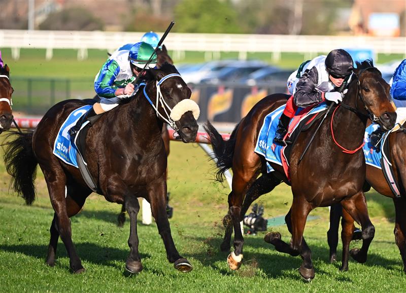 MELBOURNE, AUSTRALIA - SEPTEMBER 02: Craig Williams riding Mr Brightside defeats Luke Nolen riding I Wish I Win (3rd place) in Race 9, the Stow Storage Memsie Stakes, during Melbourne Racing at Caulfield Racecourse on September 02, 2023 in Melbourne, Australia. (Photo by Vince Caligiuri/Getty Images)
