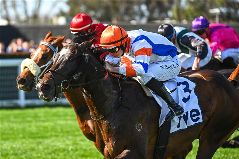 MELBOURNE, AUSTRALIA - SEPTEMBER 02: Damian Lane riding Veight defeats Jamie Kah riding Lagacies in Race 5, the Ive Mcneil Stakes,   during Melbourne Racing at Caulfield Racecourse on September 02, 2023 in Melbourne, Australia. (Photo by Vince Caligiuri/Getty Images)