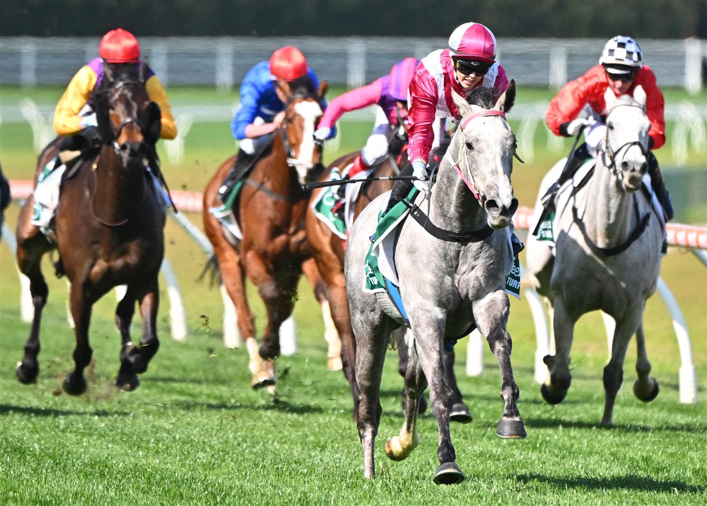 MELBOURNE, AUSTRALIA - SEPTEMBER 02: Tatum Bull riding Frigid winning Race 4, the Evergreen Turf Handicap,  during Melbourne Racing at Caulfield Racecourse on September 02, 2023 in Melbourne, Australia. (Photo by Vince Caligiuri/Getty Images)