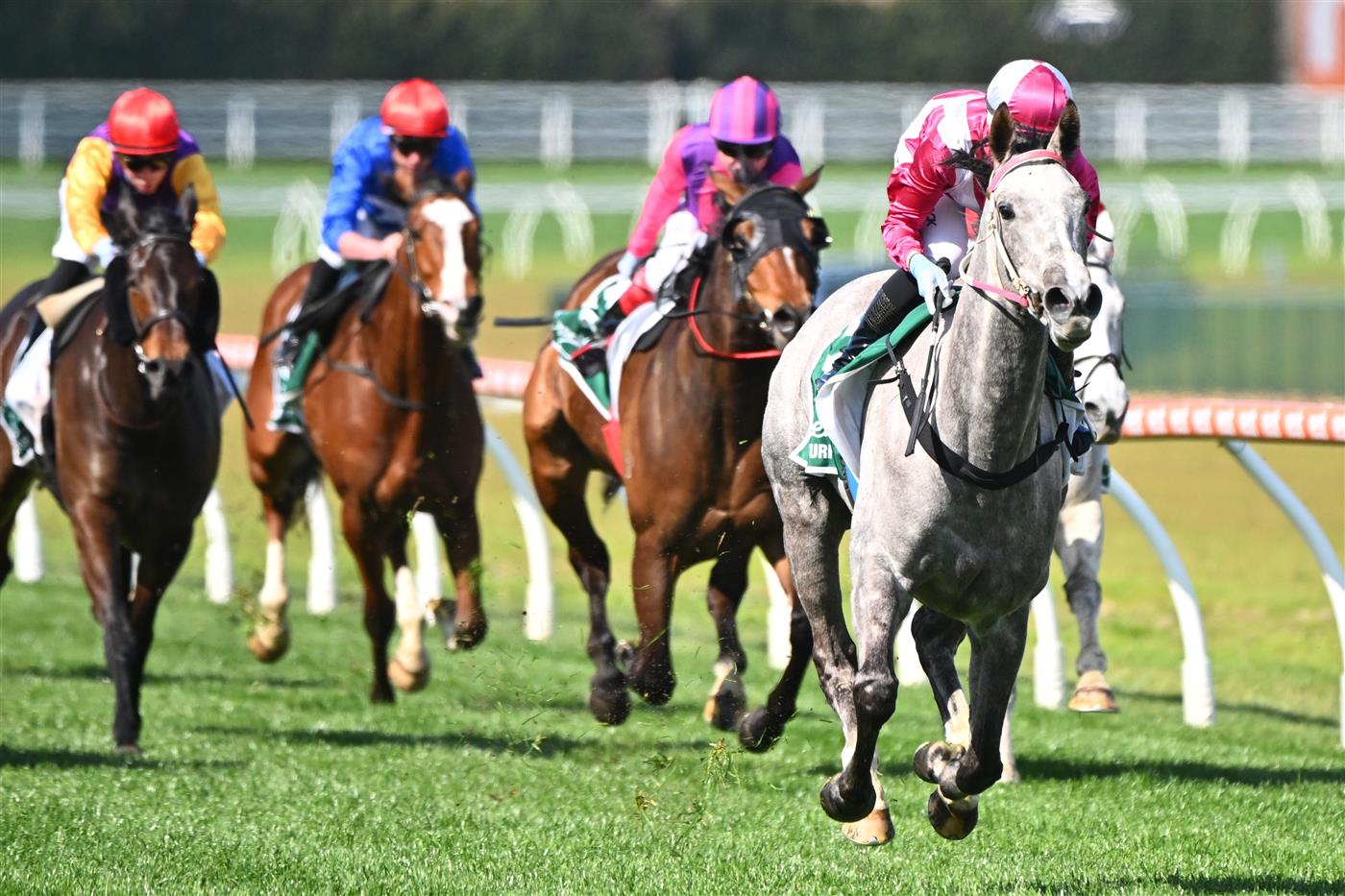 MELBOURNE, AUSTRALIA - SEPTEMBER 02: Tatum Bull riding Frigid winning Race 4, the Evergreen Turf Handicap,  during Melbourne Racing at Caulfield Racecourse on September 02, 2023 in Melbourne, Australia. (Photo by Vince Caligiuri/Getty Images)