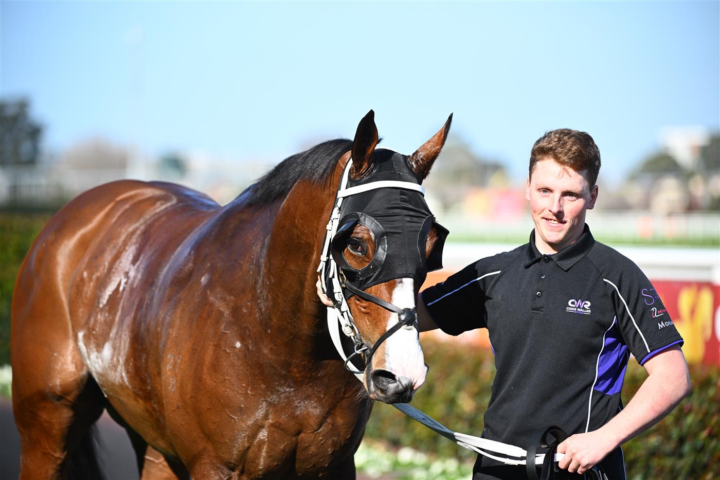 MELBOURNE, AUSTRALIA - SEPTEMBER 02: Soulcombe after winning Race 6, the Tile Importer Heatherlie Stakes, during Melbourne Racing at Caulfield Racecourse on September 02, 2023 in Melbourne, Australia. (Photo by Vince Caligiuri/Getty Images)